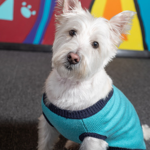 Fundraising Page: Kerry Klee-Tiesman